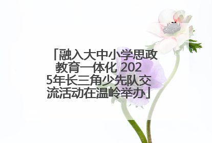 融入大中小学思政教育一体化 2025年长三角少先队交流活动在温岭举办