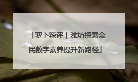 萝卜辣评｜潍坊探索全民数字素养提升新路径