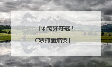 葡萄牙夺冠！C罗掩面痛哭