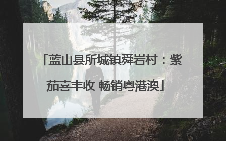 蓝山县所城镇舜岩村：紫茄喜丰收 畅销粤港澳