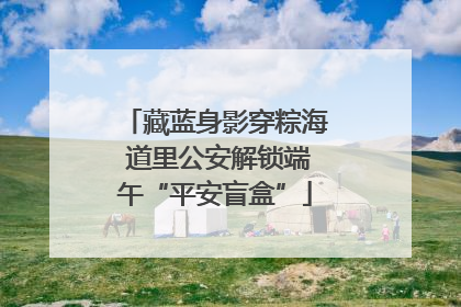 藏蓝身影穿粽海 道里公安解锁端午“平安盲盒”