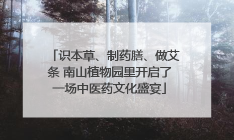 识本草、制药膳、做艾条 南山植物园里开启了一场中医药文化盛宴