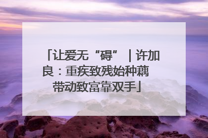 让爱无“碍”｜许加良：重疾致残始种藕 带动致富靠双手