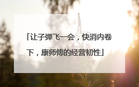 让子弹飞一会，快消内卷下，康师傅的经营韧性