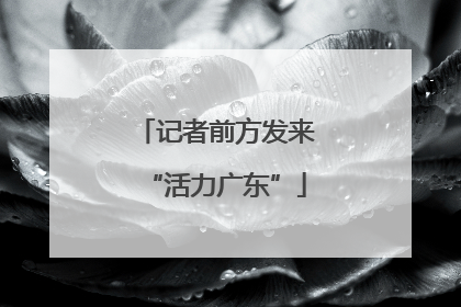 记者前方发来“活力广东”