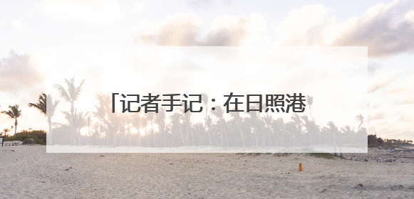 记者手记：在日照港，感受“港强、产旺、城绿”的发展脉动