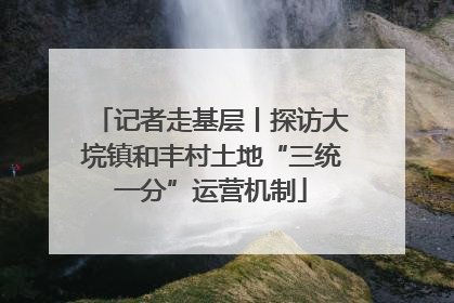 记者走基层丨探访大垸镇和丰村土地“三统一分”运营机制