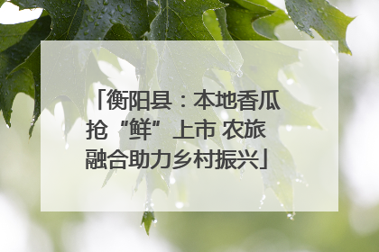 衡阳县：本地香瓜抢“鲜”上市 农旅融合助力乡村振兴