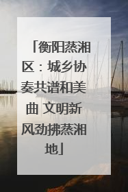 衡阳蒸湘区：城乡协奏共谱和美曲 文明新风劲拂蒸湘地