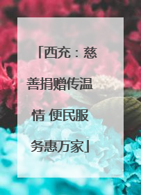 西充：慈善捐赠传温情 便民服务惠万家