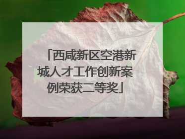 西咸新区空港新城人才工作创新案例荣获二等奖
