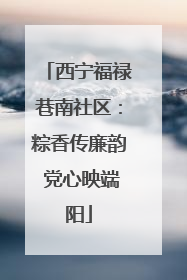 西宁福禄巷南社区：粽香传廉韵 党心映端阳
