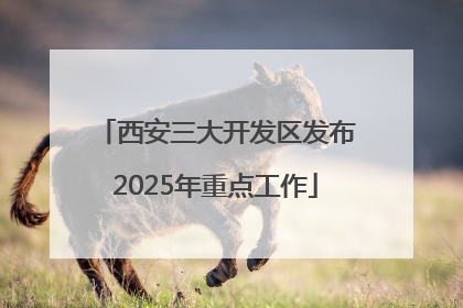西安三大开发区发布2025年重点工作