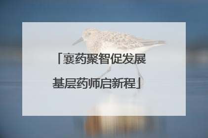 襄药聚智促发展 基层药师启新程