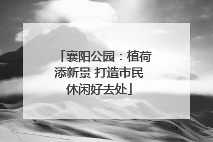 襄阳公园：植荷添新景 打造市民休闲好去处