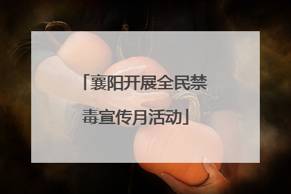 襄阳开展全民禁毒宣传月活动