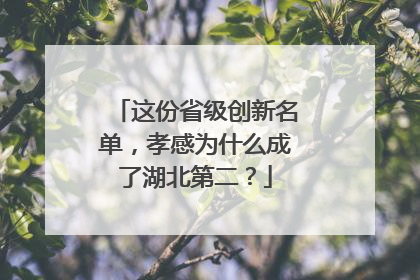 这份省级创新名单，孝感为什么成了湖北第二？