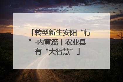 转型新生安阳“行”·内黄篇丨农业县有“大智慧”