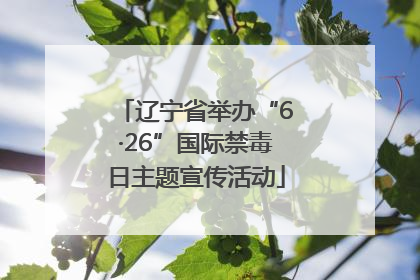 辽宁省举办“6·26”国际禁毒日主题宣传活动