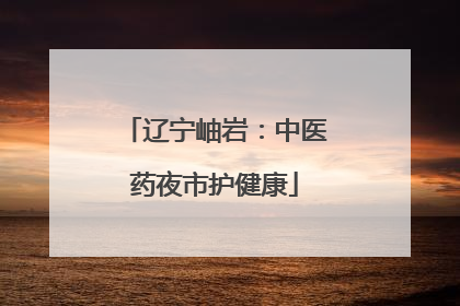 辽宁岫岩：中医药夜市护健康