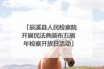 辰溪县人民检察院开展民法典颁布五周年检察开放日活动
