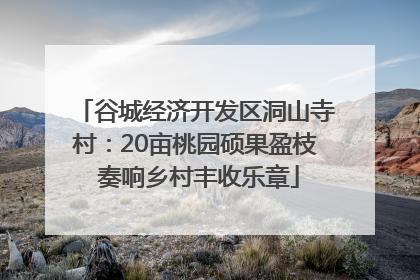 谷城经济开发区洞山寺村：20亩桃园硕果盈枝 奏响乡村丰收乐章