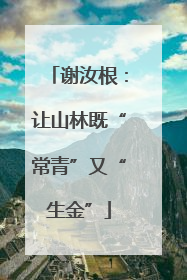 谢汝根：让山林既“常青”又“生金”