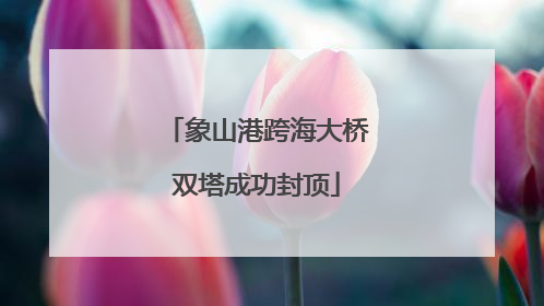 象山港跨海大桥双塔成功封顶