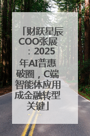 财跃星辰COO张展：2025年AI普惠破圈，C端智能体应用成金融转型关键