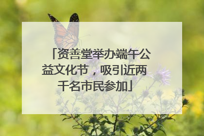资善堂举办端午公益文化节，吸引近两千名市民参加