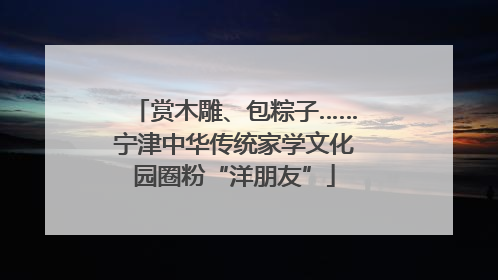 赏木雕、包粽子……宁津中华传统家学文化园圈粉“洋朋友”
