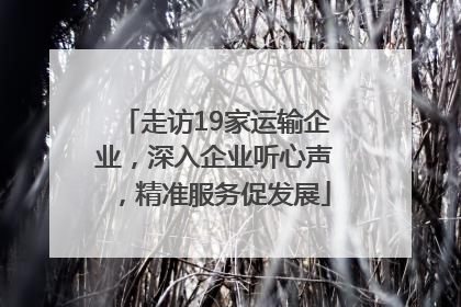 走访19家运输企业，深入企业听心声，精准服务促发展