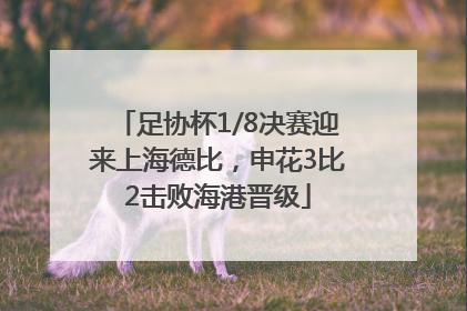 足协杯1/8决赛迎来上海德比，申花3比2击败海港晋级