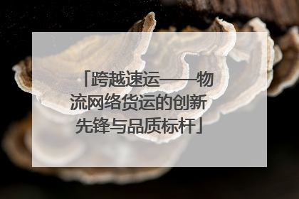 跨越速运——物流网络货运的创新先锋与品质标杆