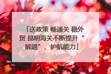送政策 畅通关 稳外贸 昆明海关不断提升“解题”、护航能力