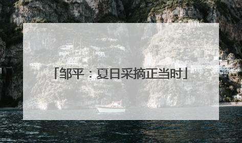邹平：夏日采摘正当时
