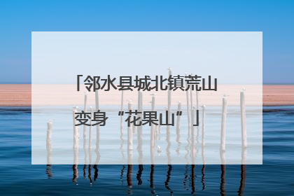 邻水县城北镇荒山变身“花果山”