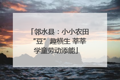 邻水县：小小农田“豆”趣横生 莘莘学童劳动添能