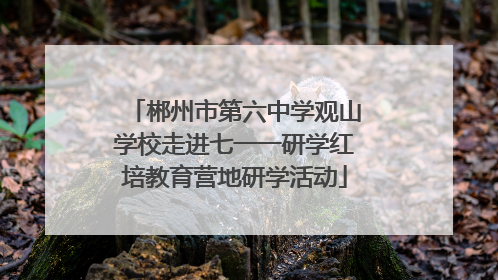 郴州市第六中学观山学校走进七一一研学红培教育营地研学活动