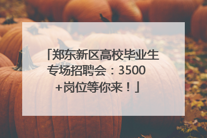 郑东新区高校毕业生专场招聘会：3500+岗位等你来！