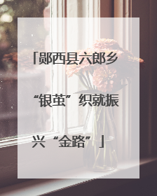 郧西县六郎乡“银茧”织就振兴“金路”