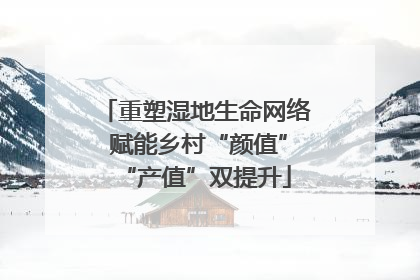 重塑湿地生命网络 赋能乡村“颜值”“产值”双提升
