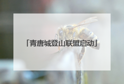 青唐城登山联盟启动
