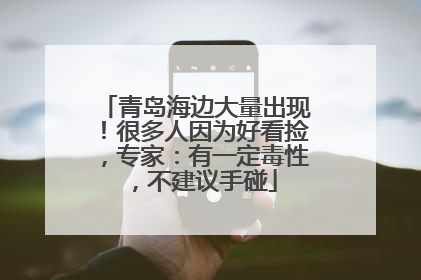 青岛海边大量出现！很多人因为好看捡，专家：有一定毒性，不建议手碰