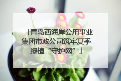 青岛西海岸公用事业集团市政公司筑牢夏季绿植“守护网”