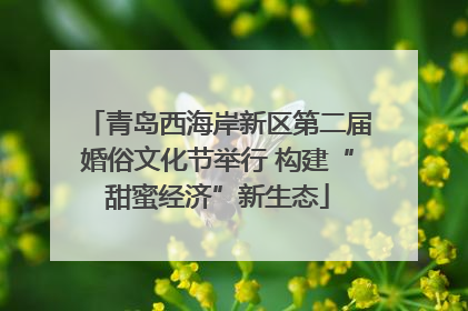 青岛西海岸新区第二届婚俗文化节举行 构建“甜蜜经济”新生态