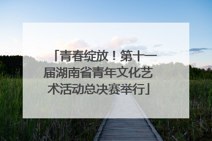 青春绽放！第十一届湖南省青年文化艺术活动总决赛举行