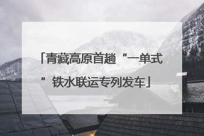 青藏高原首趟“一单式”铁水联运专列发车