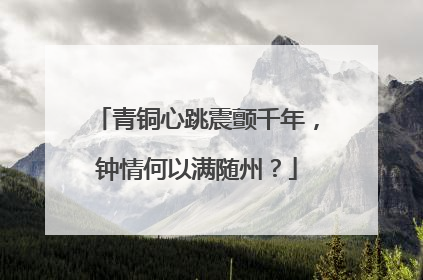 青铜心跳震颤千年，钟情何以满随州？