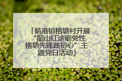 靖港镇格塘村开展“韶山红途砺党性 格塘先锋践初心”主题党日活动